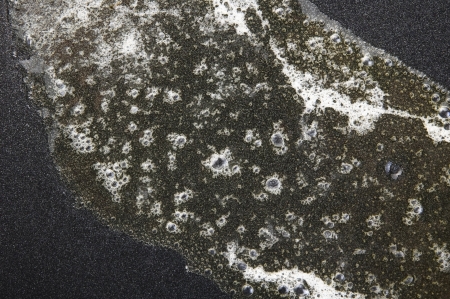 Melting butterの写真素材