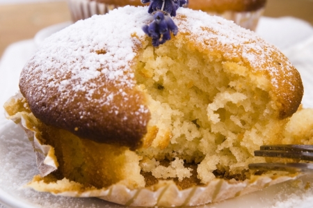 Freshly baked muffins