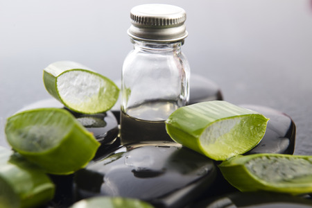 Sliced aloe leaves with oil on the stoneの写真素材