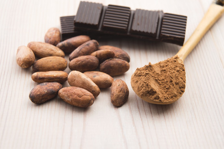 Cocoa (cacao) beans with chocolate