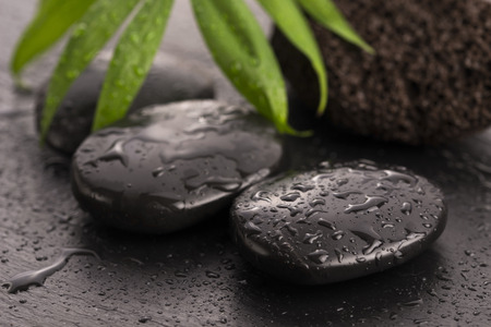 Green leaf on spa stone on wet black surfaceの写真素材