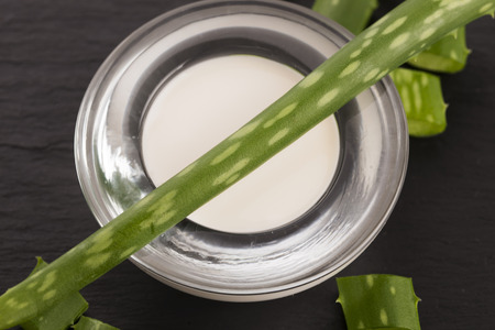 aloe vera - leaves and creamの写真素材