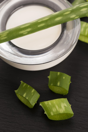 aloe vera - leaves and creamの写真素材