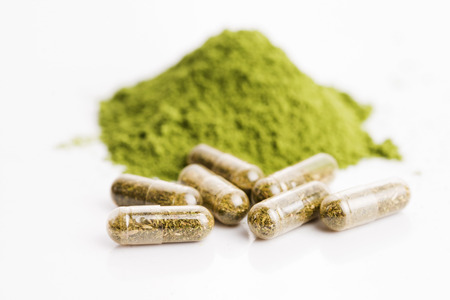 Young barley grass. Detox superfood.の写真素材