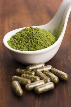 Young barley grass. Detox superfood.の写真素材