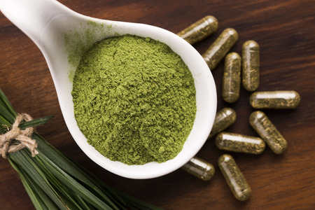 Young barley grass. Detox superfood.の写真素材