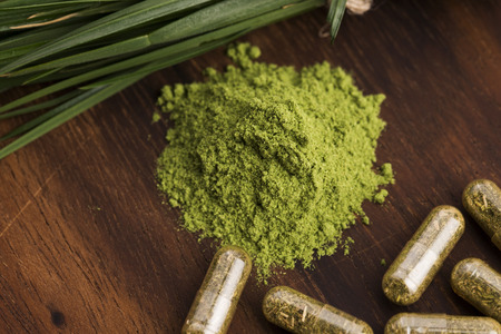 Young barley grass. Detox superfood.の写真素材