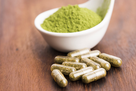 Young barley grass. Detox superfood.の写真素材