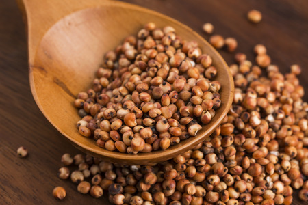 Sorghum, riceの写真素材