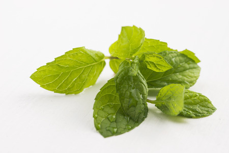 Fresh raw mint leavesの写真素材