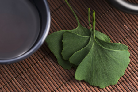 Ginkgo teaの写真素材