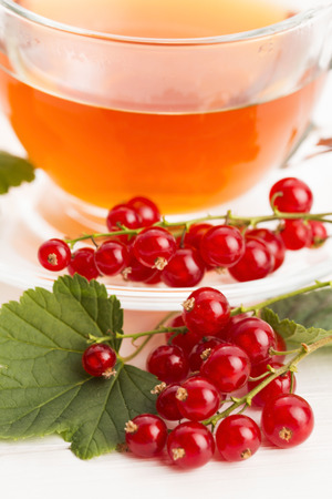 tea in cup and fresh red currantの写真素材