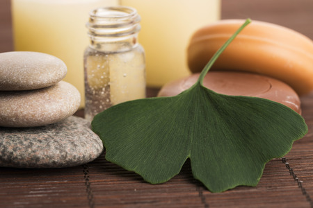 ginkgo with essential oilの写真素材