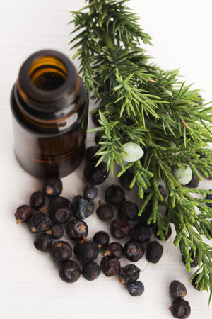 juniper essential oilの写真素材