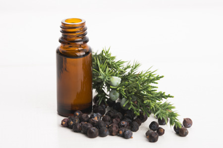 juniper essential oilの写真素材