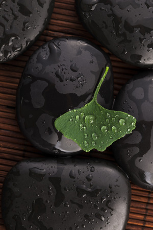 zen stones and ginko biloba leaves with water dropsの写真素材