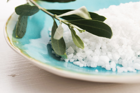 fresh olive branch with sea saltの写真素材