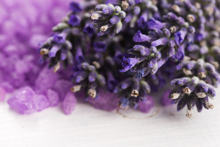 lavender bath salt and some fresh lavenderの写真素材