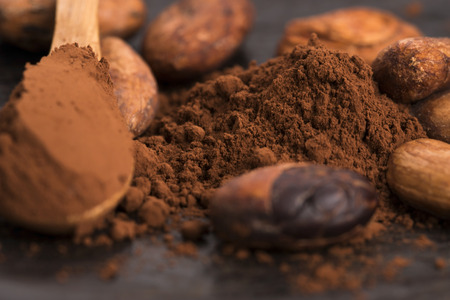 cacao beans and cacao powder in spoonの写真素材