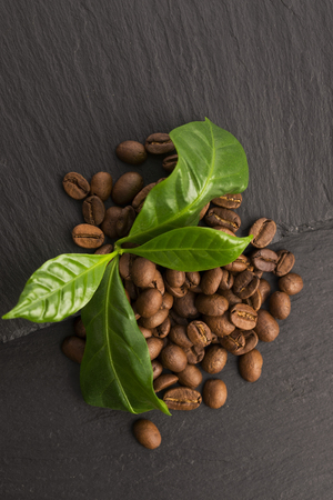 coffee grains and leavesの写真素材