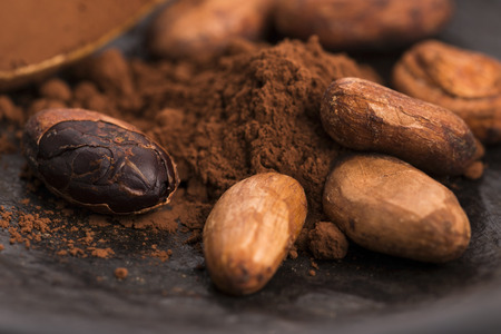 cacao beans and cacao powder in spoonの写真素材