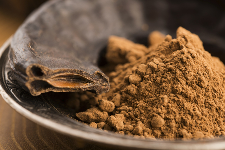 carob pods and carob powderの写真素材