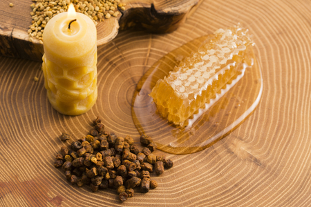 honeycomb, pollen and propolisの写真素材