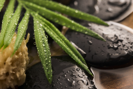 Spa still life, with green leaf, stones and waterの写真素材