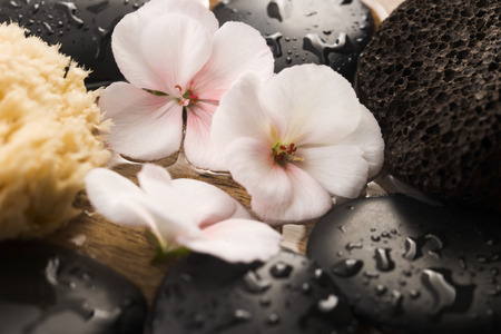 Spa still life, with pink flowers, stones and waterの写真素材