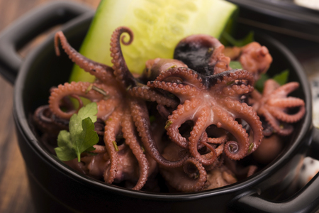 Octopus. Greek, eating.
