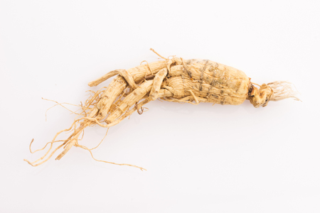 Extract of ginseng rootの写真素材