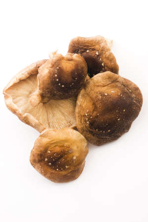 Shitake Mushroom on White Background