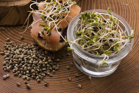 cannabis spouts dish. superfoodsの写真素材