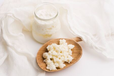 Milk kefir grains in spoon. Yeast bacterial fermentation starter