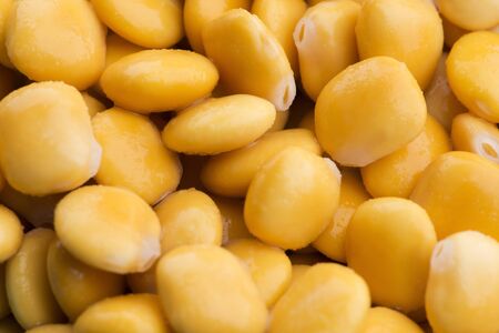 Tasty lupins and glass of beer. Beverage, legume.の写真素材