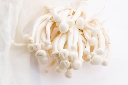 White beech mushrooms, Shimeji mushroom