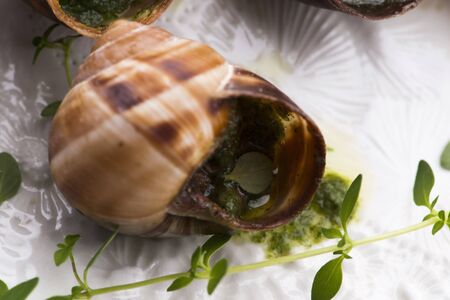 Escargot platter, delicious french delicatessen