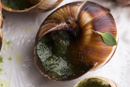 Escargot platter, delicious french delicatessenの写真素材