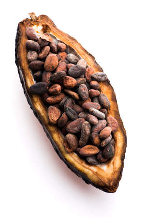 Cocoa (cacao) beans on a beanpod with focus on foreground.の写真素材