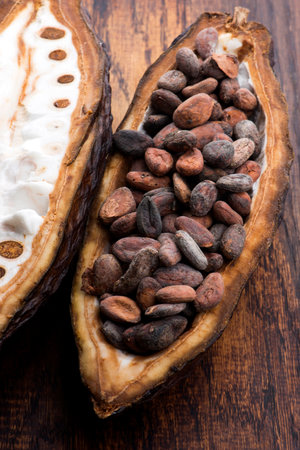 Cocoa (cacao) beans on a beanpod with focus on foreground.の写真素材