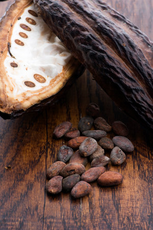 Cocoa (cacao) beans on a beanpod with focus on foreground.