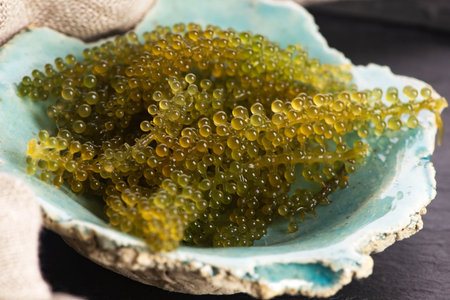 Caulerpa lentillifera seaweed is a species of bryopsidale green algae
