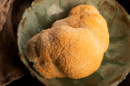 Hericium erinaceus mushroom monkey head mushroom, bearded tooth fungus, bearded hedgehog mushroom, pom pom, lion`s mane mushroom. Far Eastern medicine use this mushroomの写真素材