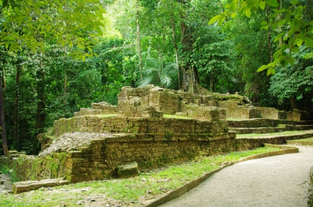 Palenque ruins in tropical rainforest の写真素材