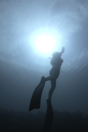 Bikini freediverの写真素材