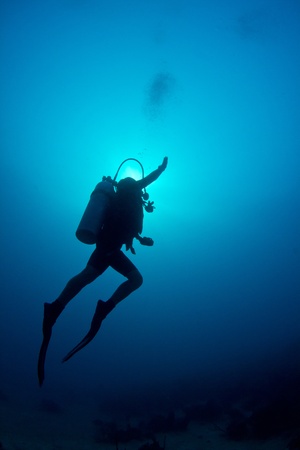 A scuba diver ascends through the crystal clear waters of The Caribbean.の写真素材