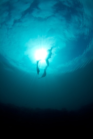A young woman ascends from a free dive against the sunの写真素材