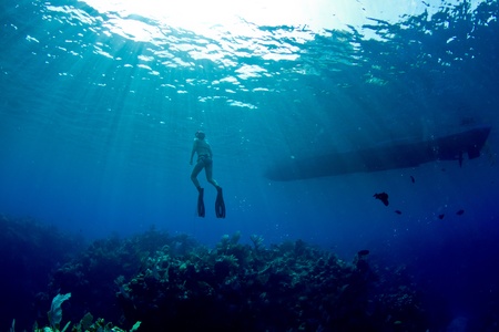 A young female freediver returns to the surface near her boat.の写真素材
