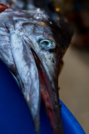 The fastest fish on the planet for sale at a Thai fish market.の写真素材