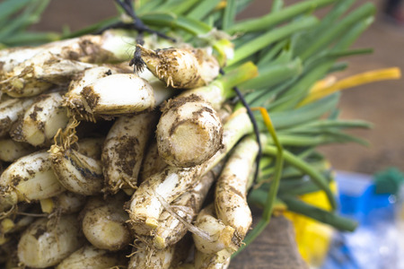Raw calcot